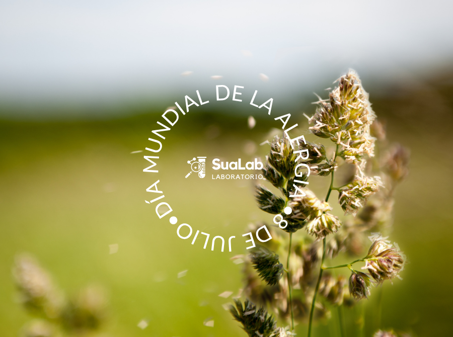 BLOG SUALAB OK (1)